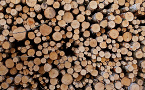 Stack of wood. Photographer: Eeva Suorlahti.