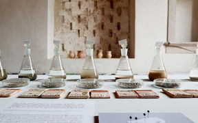 Traces from the Antropocene exhibition in Venice Biennale in 2019. Photo: Tzuyu Chen