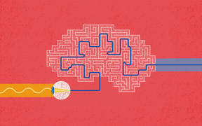 An illustration of a ray of light causing the eye to find a route through a maze in the brain. Illustration by Safa Hovinen.