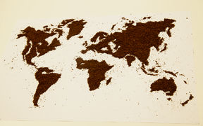 Oona Ojala studied how the cultivation conditions of luxury products such as coffee and cocoa will evolve with climate change. Photo: Elisa Dametto