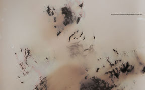 light colored artwork presenting exposures of a middle-aged body