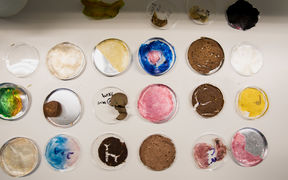 Petrimaljoissa on erivärisiä aineita