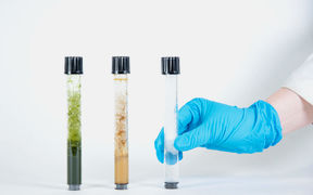 CHEM_Bio_Foam and woad research