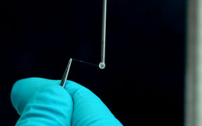 Photo by Teemu Välisalmi