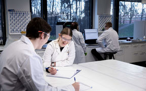Students studying in groups in the laboratory