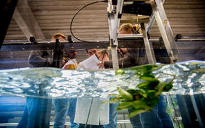 Environmental Engineering new flow channel in Otaniemi, with students and teaching staff