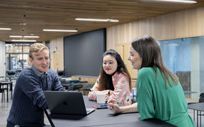 Information and Service Mgmt students and Prof. Katri Kauppi