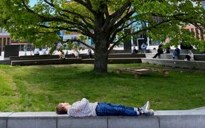 Recovery. Picture by Merita Petäjä 2022.