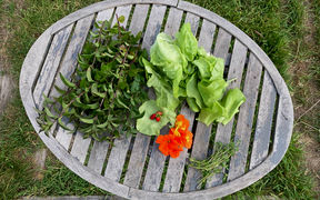 Color photo of vegetables, fruit, herbs on an oval wooden table