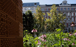 Tiiliseinä, jonka vieressä vaaleanpunaisia kukkia, taustalle korkeita, vanhoja taloja.