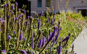 Image from remote site: aaltouniversity.shorthandstories.com