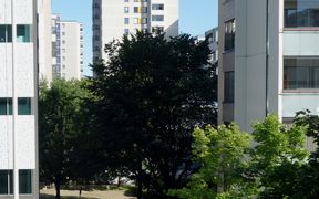 Welfare landscape verkosto _ Ranja Hautamäki