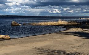 tutkimusalue Elisa Lähde