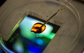 Aalto CHEM HealthTech litography projection.