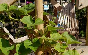 Empty chair in a green environment
