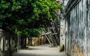 A narrow alley with old weathered walls and wooden structural elements. Dense foliage from a tree extends over the walkway.