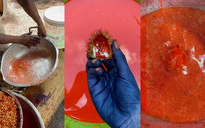 A collage of the process of dyeing with achiote, a fruit that yields orange colour. A blue-dyed hand is holding it while liquid is poured.