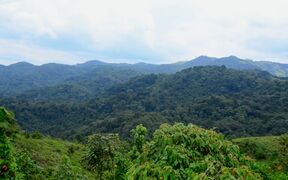 Lush green forested hills under a bright cloudy sky, with dense trees covering rolling slopes.