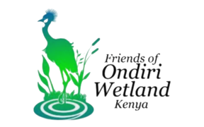 Green bird in wetland reeds above ripples with text: Friends of Ondiri Wetland Kenya