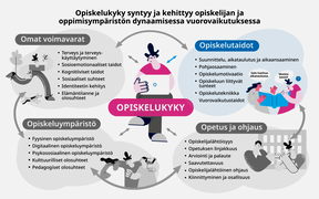 Opiskelutaidot opiskelukykymallissa.