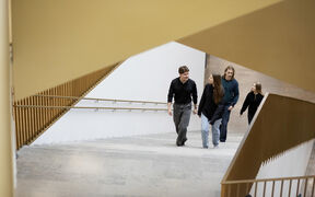 Four young people walk up a wide indoor staircase with golden railings and light stone steps
