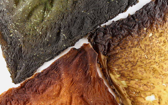 Manuel Arias Barrantes