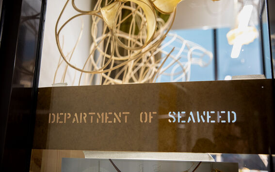 Julia Lohmannin Department of Seaweed. Kuva: Mikko Raskinen