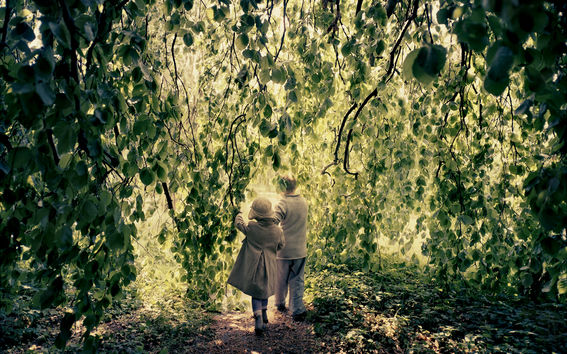 Kaksi lasta kävelee kuvassa poispäin vihreän metsän keskellä