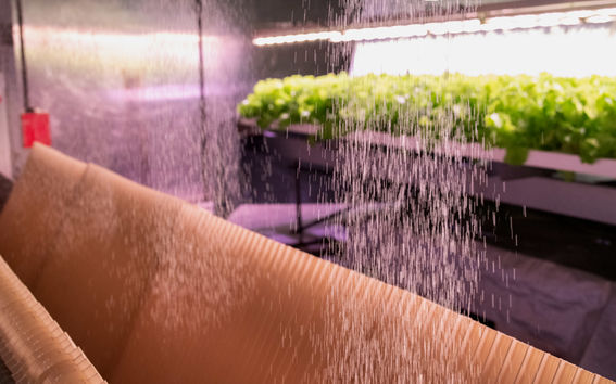 Pisaraverho kastelee kasvihuonetta.