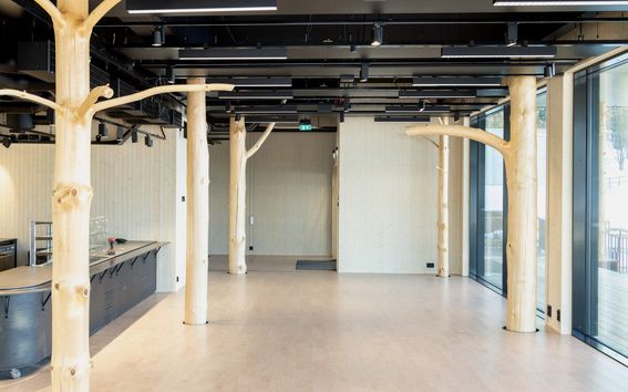 Sisäkuva väistötila Pikku-Finlandiassa, jossa näkyy viisi erilaista mäntypilaria rakennuksen tukipilareina