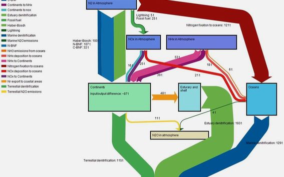 1990 Nitrogen cycle