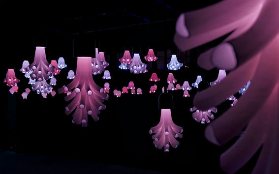 Lähikuvaa Evolumniation -toeksesta. Kuva: Sami Markkula.