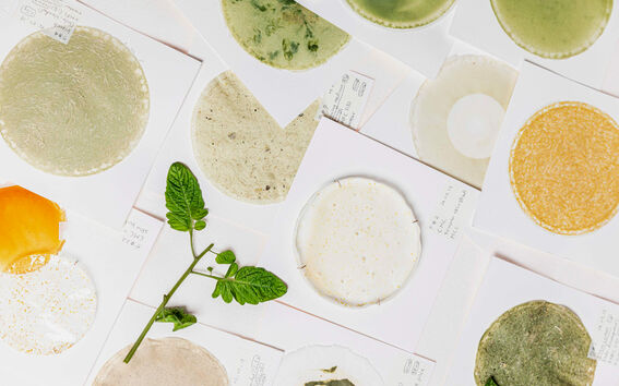 Erilaisia pyöreitä näytteitä valkoisilla korteilla, kuten vihreä, keltainen ja beige, vihreiden lehtien oksa.