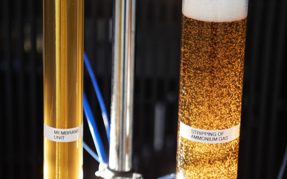 NPharvest background