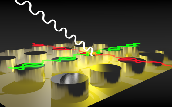 Magnetic Particle Array