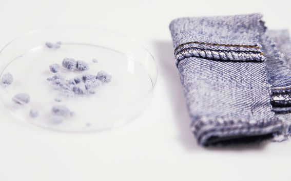 CHEMARTS. Photo: Aalto University/ Eeva Suorlahti