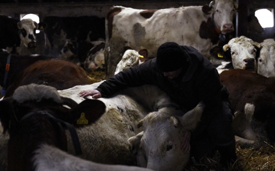 Stab, a photograph by Anne Golaz, from her book Corbeau, published by Mack books in 2017.