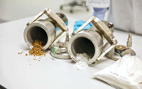 Brown and white MCC. Photo: Mikko Raskinen.