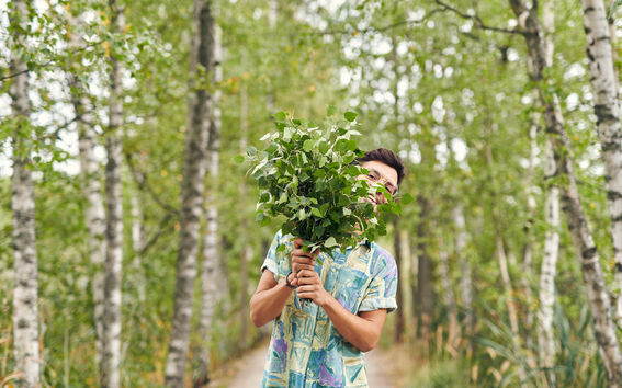 Aalto Birch / Photo: Unto Rautio