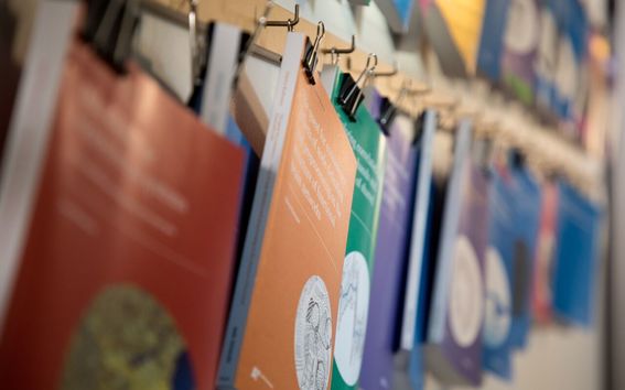 CS_defence photo by Matti Ahlgren