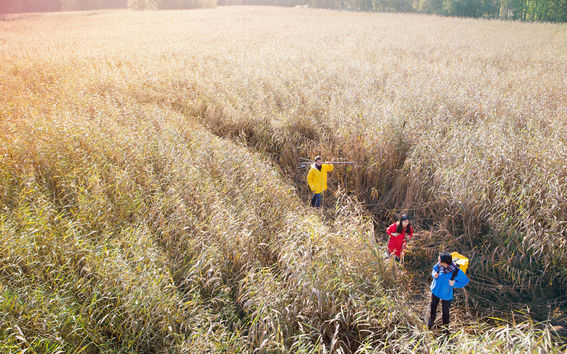 Opiskelijapalvelut_kuvituskuva