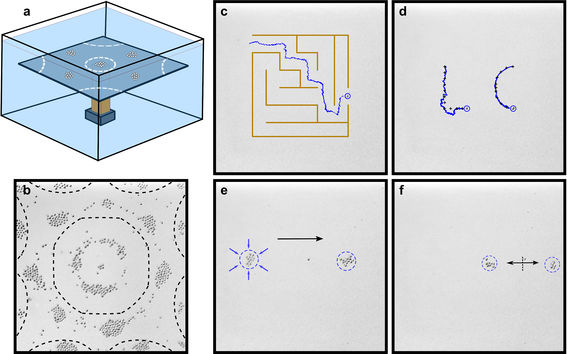 A surprising experiment opens the path to new particle manipulation methods