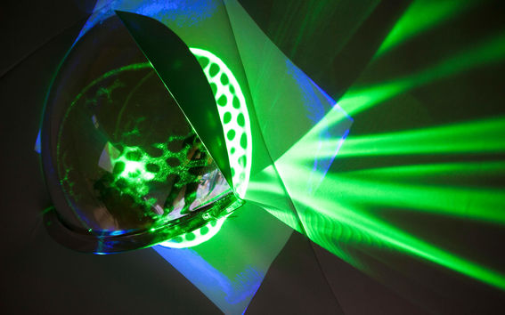 Academy of Finland's profile funding 2019, photo Mikko Raskinen