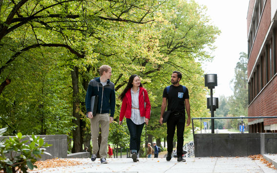 Three people walking at campus
