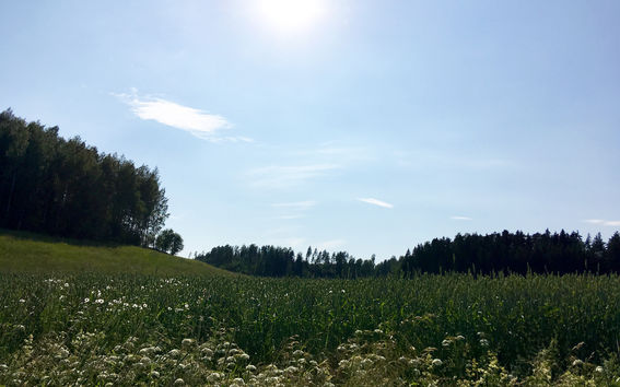 Kesän lukulista Aalto Arts Books