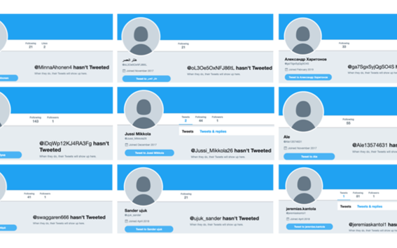 Twitter-botteja, Sippo Rossin gradun kuvitusta