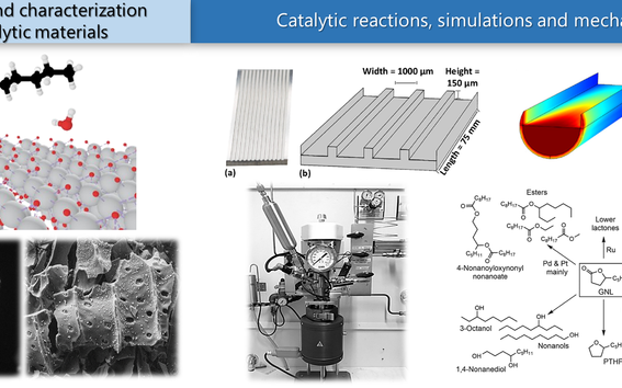 Catalysis Group picture
