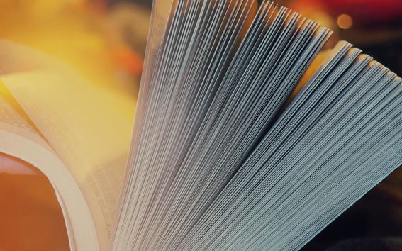 book/Photo by Anastasia Zhenina on Unsplash