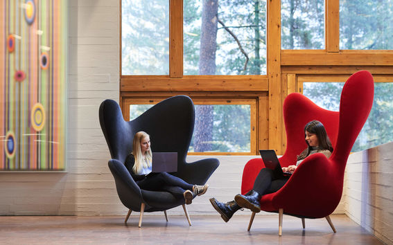 Mentorointi on ennen kaikkea yhteistyösuhde.