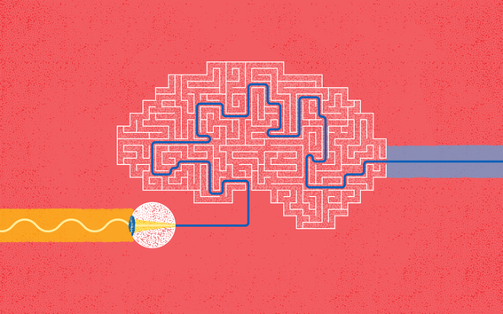 An illustration of a ray of light causing the eye to find a route through a maze in the brain. Illustration by Safa Hovinen.